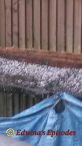 20150529_185342_wm_resized