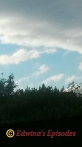 20150529_191243_wm_resized