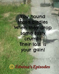 2015-05-12 14.39.54-1_wm_resized