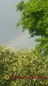 20150529_191200_wm_resized_1