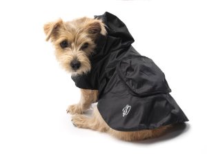 Doggy Raincoat