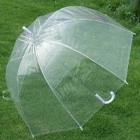 Mushroom Brolly
